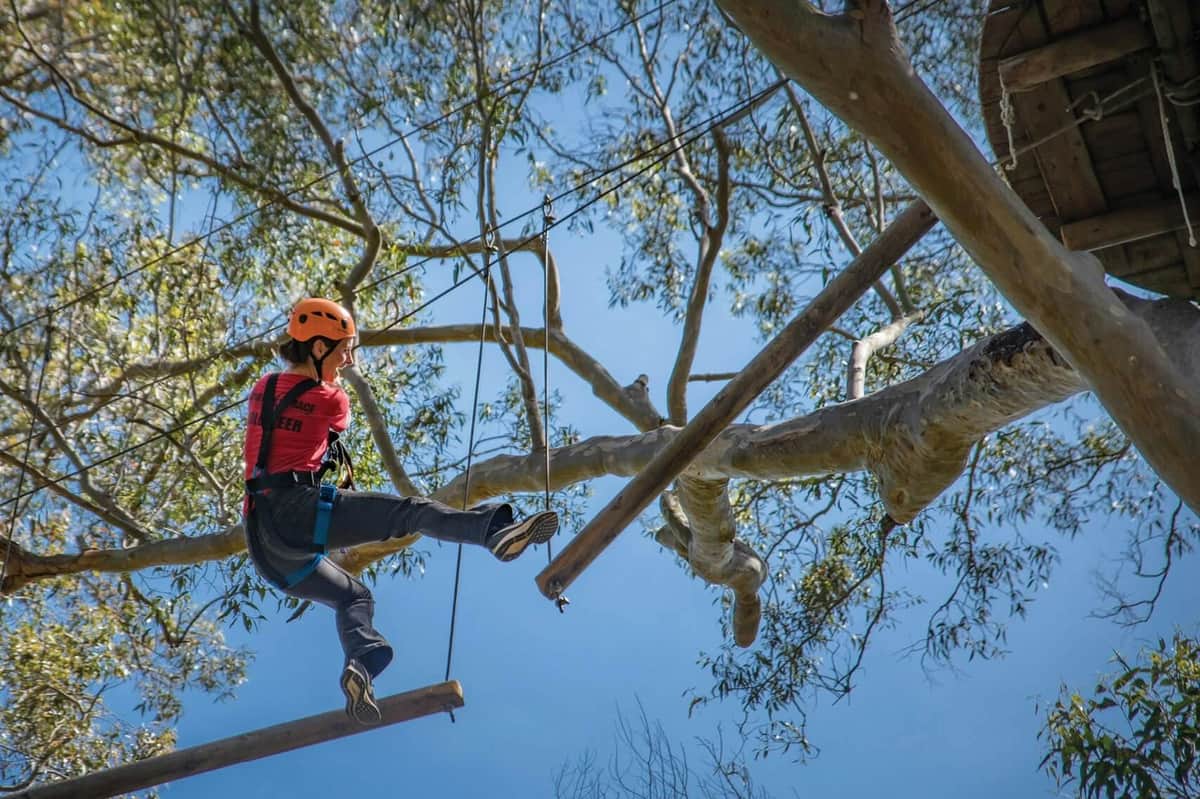 Western Sydney: Treetops Adventure Person wearing a helmet and harness navigates swinging logs in a treetop ropes course under a clear blue sky.