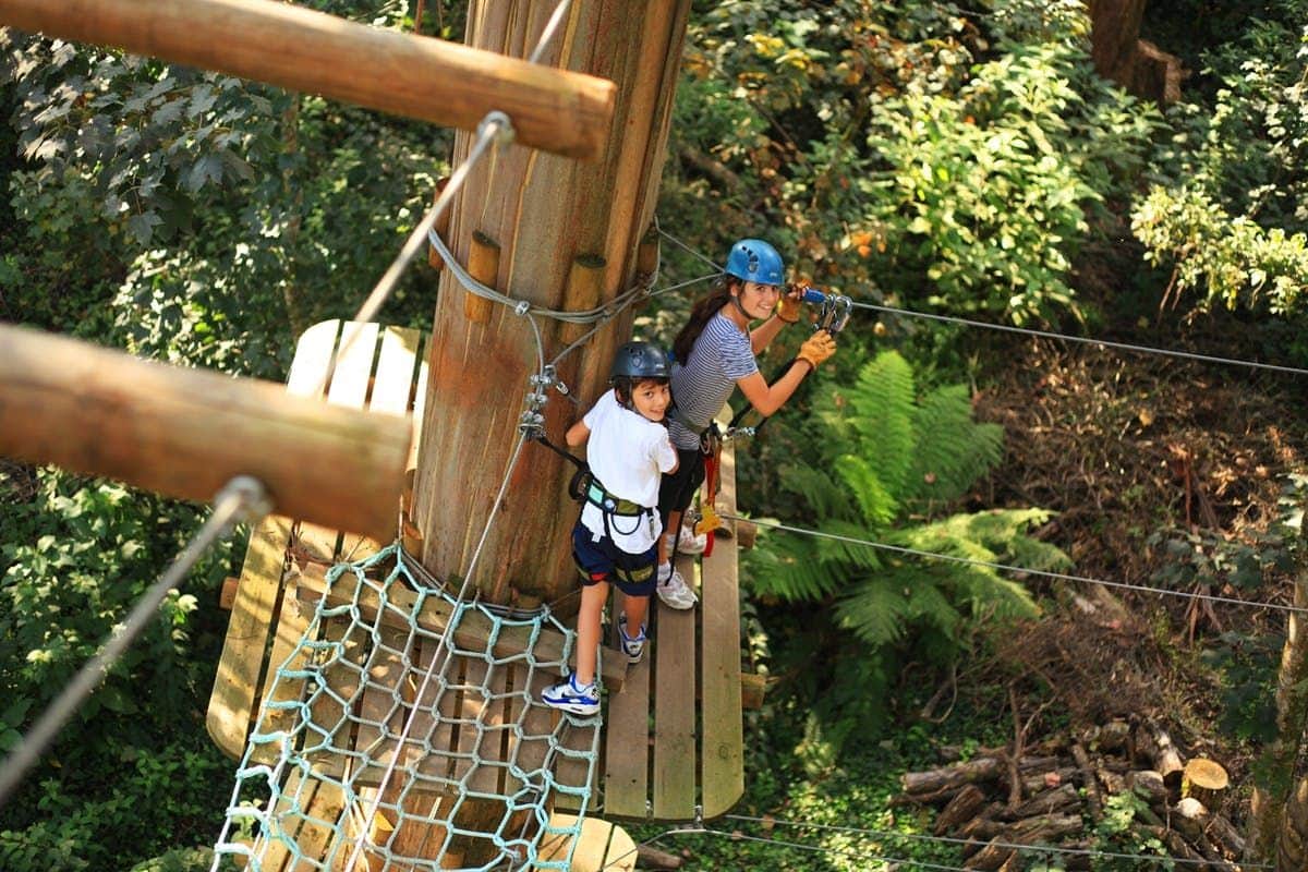 Treetops Adventure: Yeodene Park Two people wearing helmets and safety gear on a wooden platform during a ropes course in a forested area.