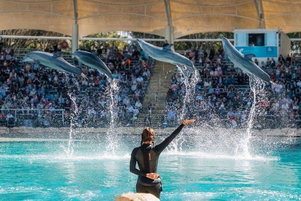 Sea World