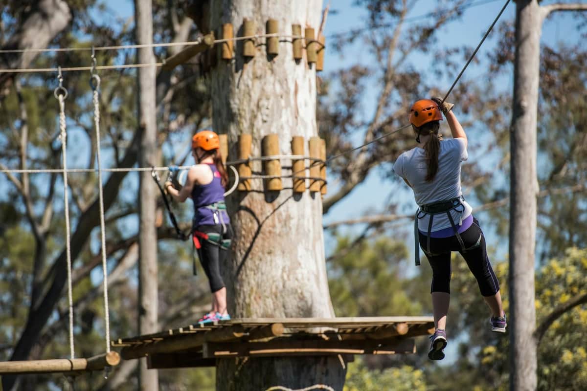 Two people in safety harnesses and helmets navigate a treetop obstacle course, one zip-lining, the other standing on a platform.