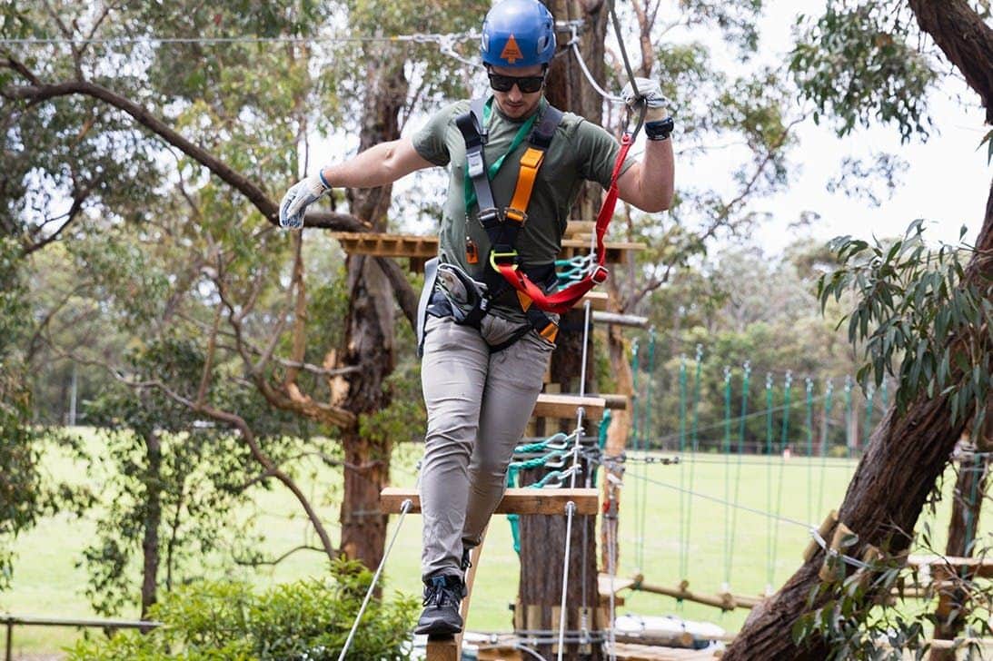 Treetops Adventure: St Ives Bridges