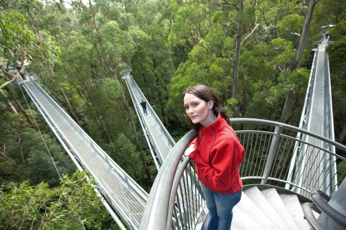 A woman in a red jacket stands on a spiral staircase in a treetop walkway surrounded by dense green forest.