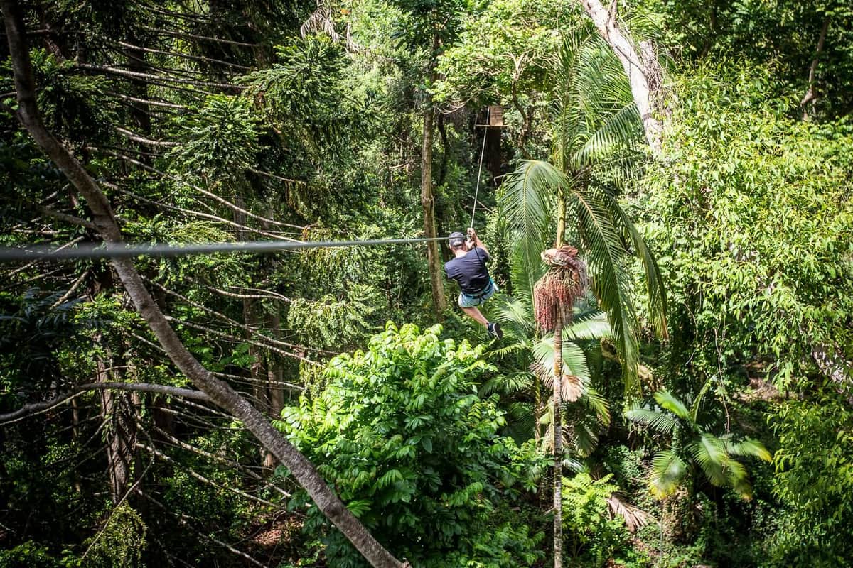 Person ziplining through dense tropical forest with lush greenery and tall trees.