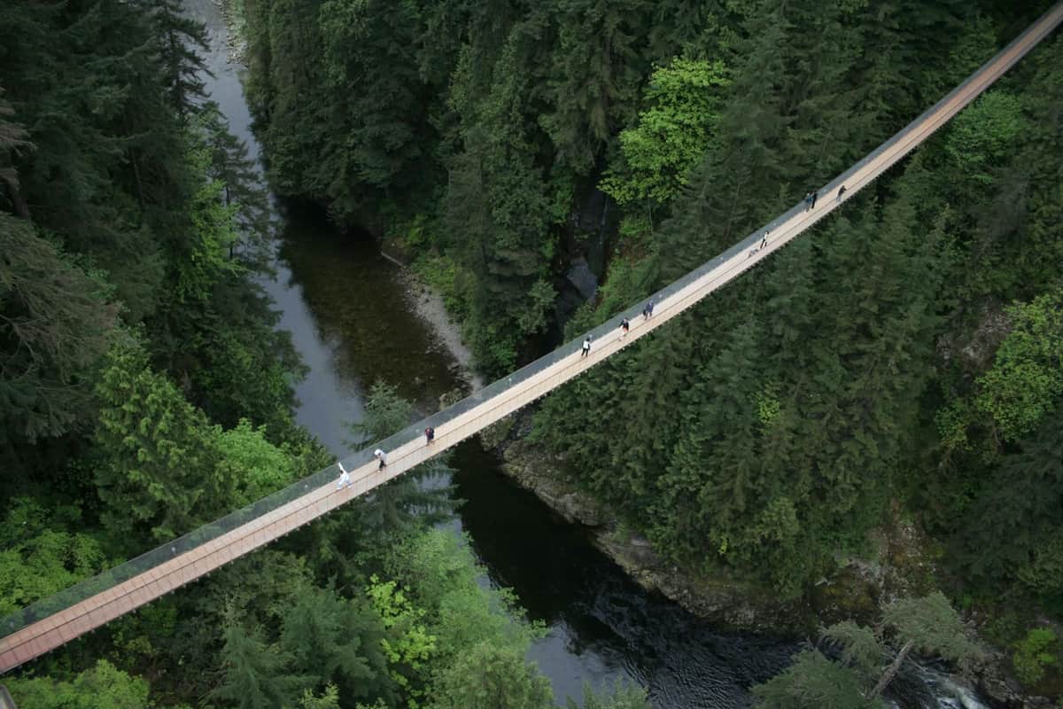 Capilano and City Tour