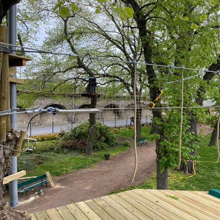 A person navigating an elevated ropes course among tall trees in an outdoor park setting.