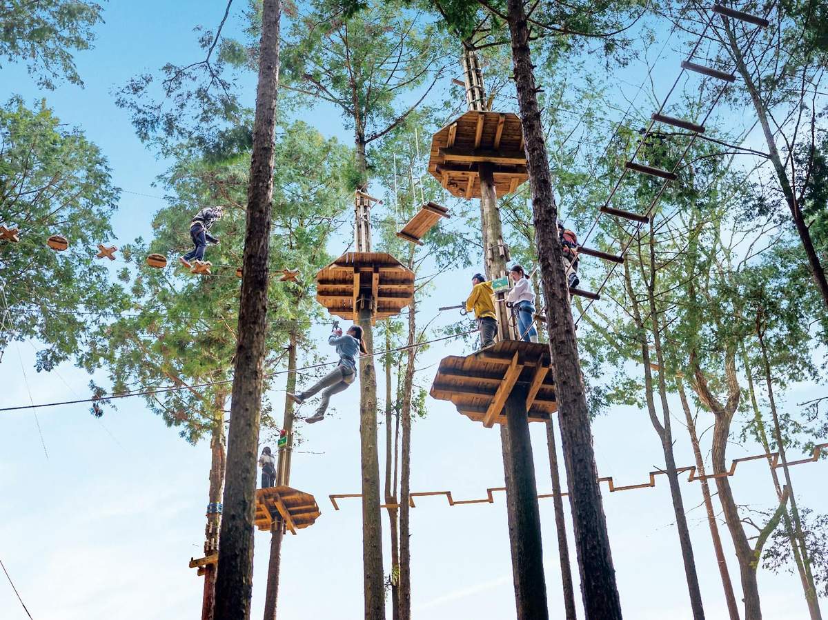 People engaged in a treetop adventure course, navigating platforms, ropes, and zip lines among tall trees under a blue sky.