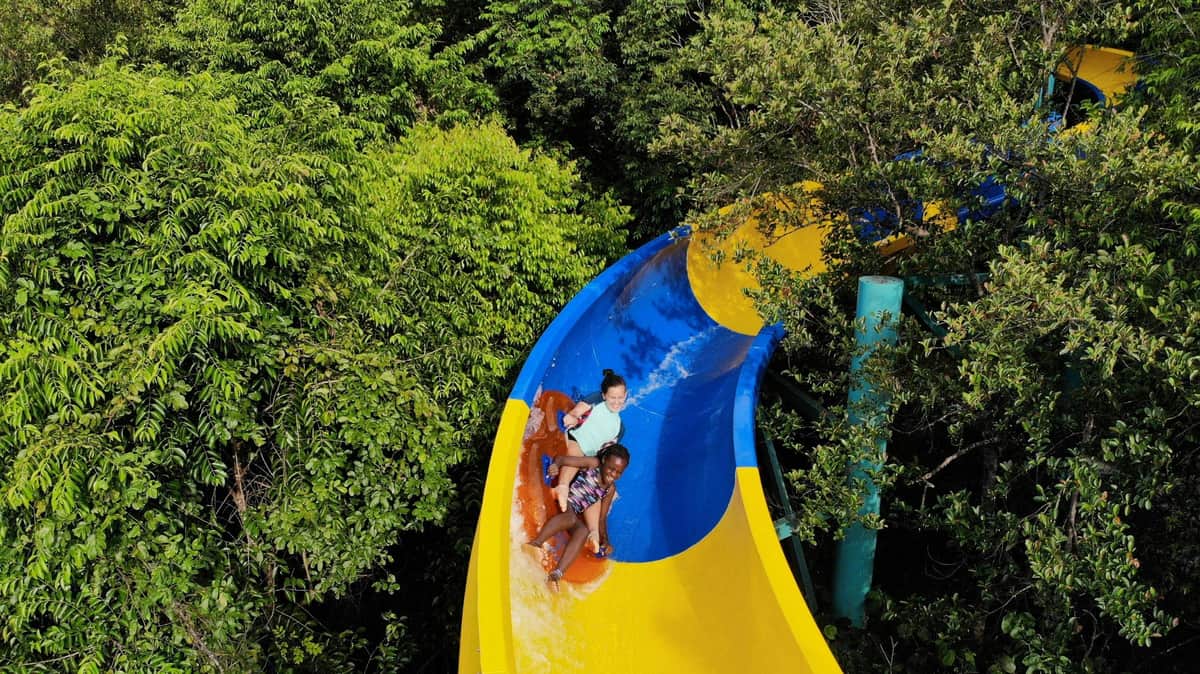 Two people sliding down a yellow and blue water slide surrounded by lush green trees.