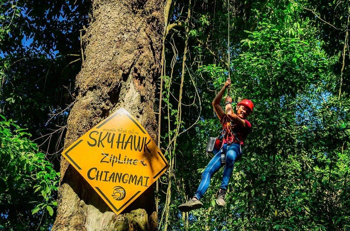 A person wearing safety gear ziplining near a tree with a sign reading "Sky Hawk Zipline Chiangmai."