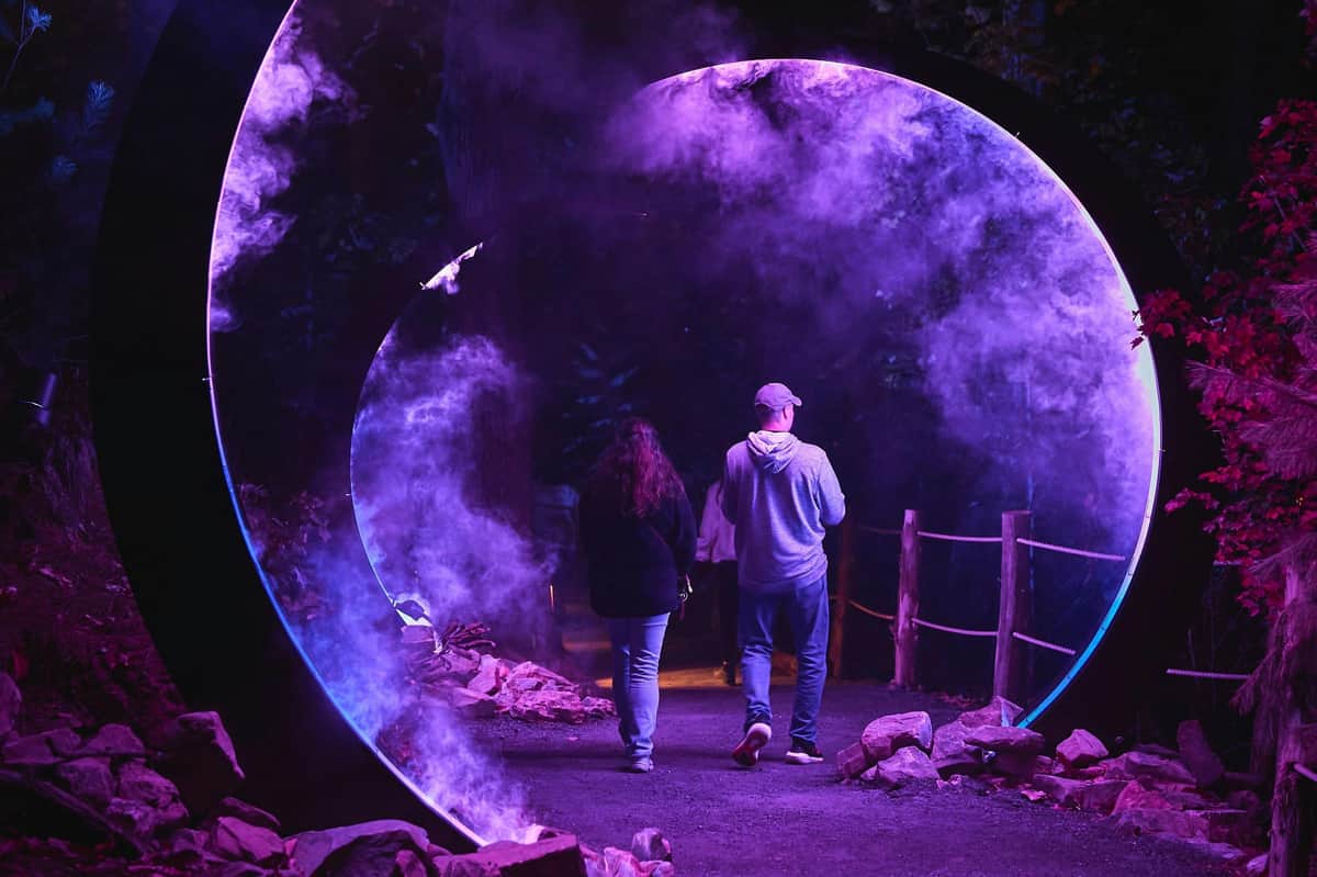 Anakeesta: Astra Lumina Admission Two people walking through a circular structure emitting purple mist, surrounded by illuminated trees and rocks.