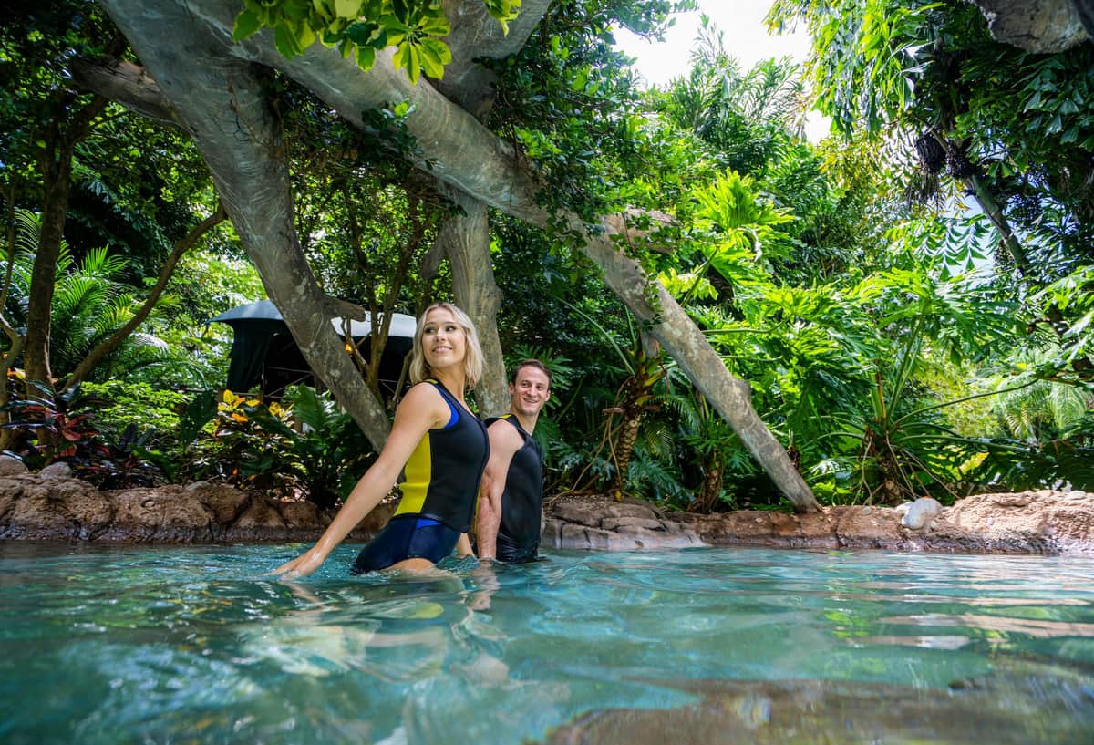 Two people in wetsuits stand in shallow water, surrounded by lush tropical plants and trees.