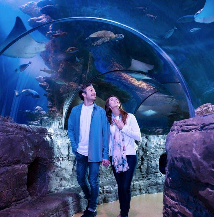 SEA LIFE Orlando & Madame Tussauds: Entry Ticket A couple holding hands walks through an underwater tunnel in an aquarium, surrounded by rocks and various sea creatures above them.
