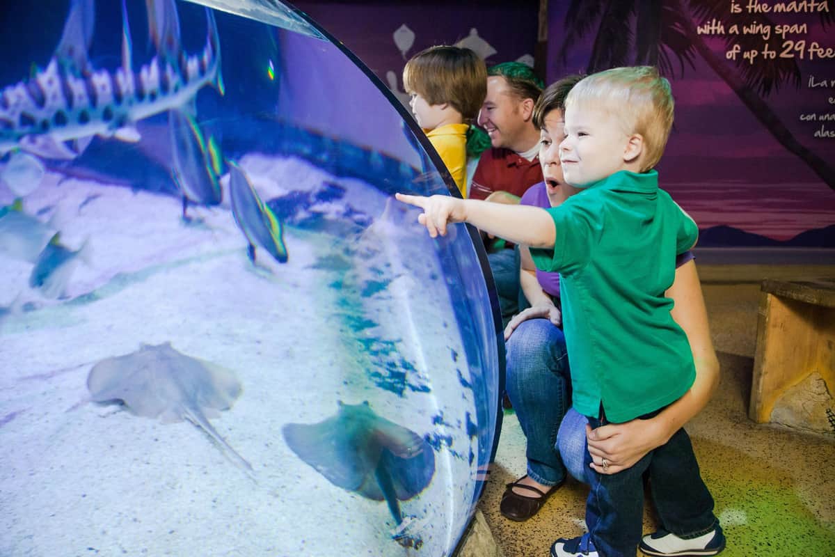 Child pointing at a stingray in an aquarium tank, with a woman and another child in the background. Bright, colorful setting.