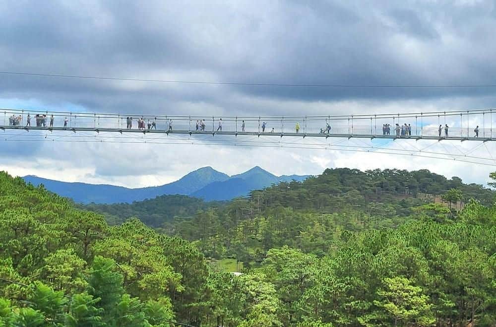 A suspension bridge with people crossing it, situated above a forest with distant mountains under a cloudy sky.