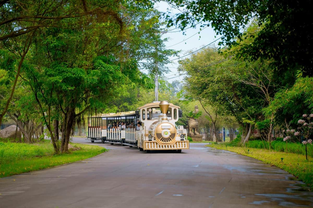 A white tourist train on a tree-lined path in a park setting.