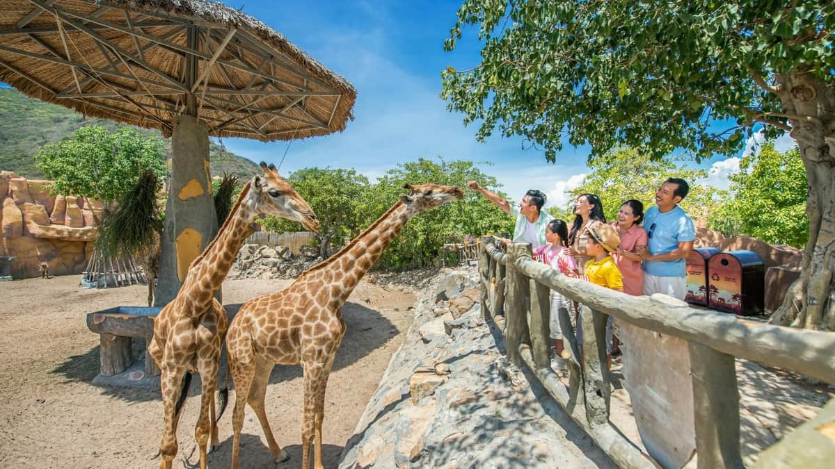 A group of people standing near a fence feeding a giraffe in a sunny outdoor setting with trees in the background.