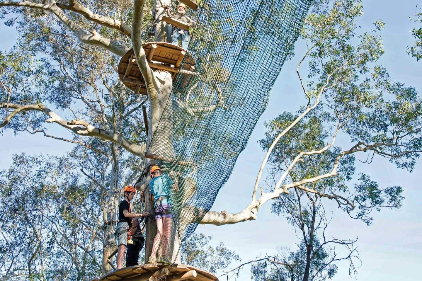 Three people in helmets and harnesses engaged in a treetop adventure course with platforms and safety nets among tall trees.