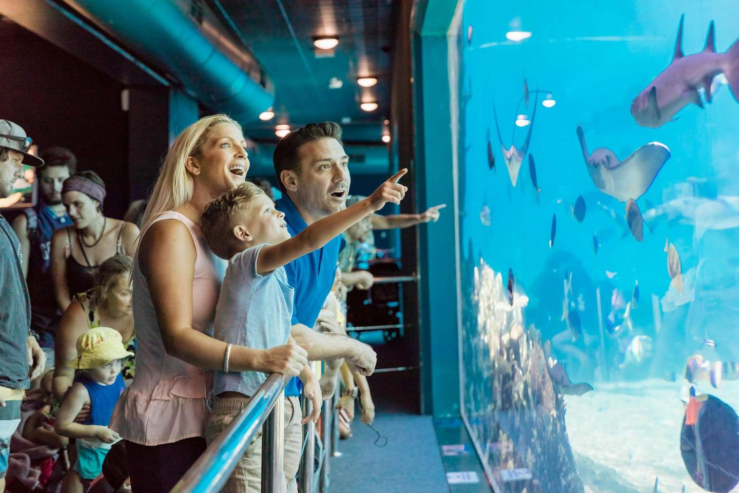 A family excitedly points at fish and rays through a large aquarium window, surrounded by other visitors.