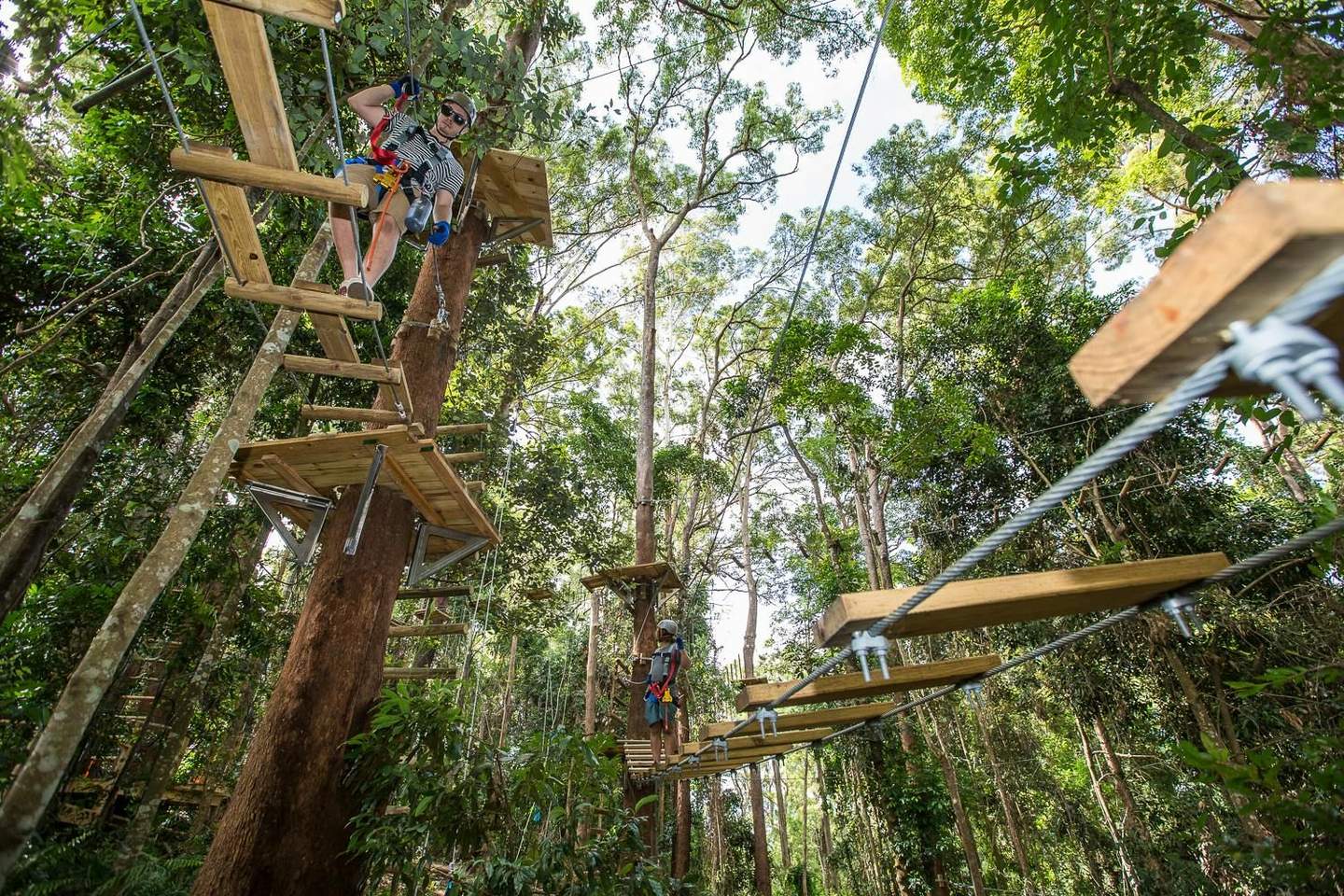 Two people in harnesses navigate a treetop ropes course in a lush forest, walking on wooden bridges connected by ropes.