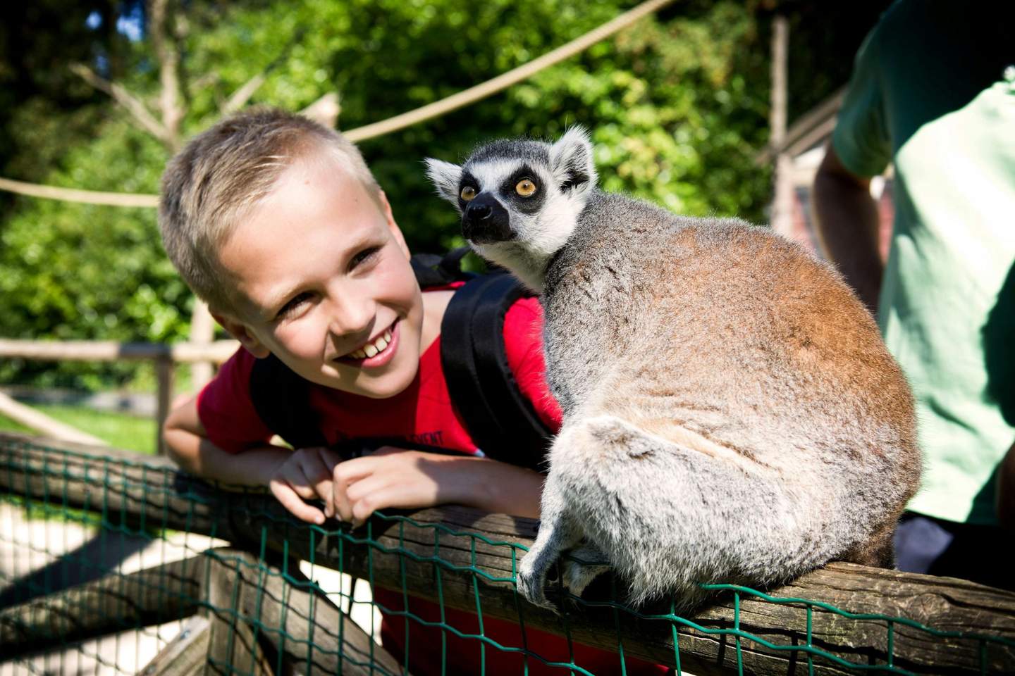 Zoo