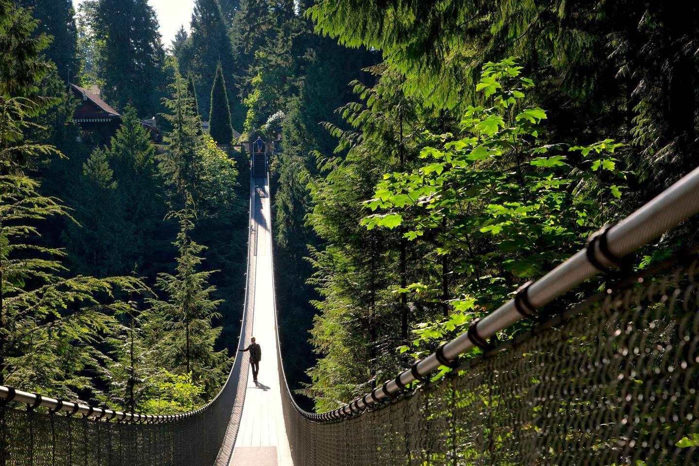 A person walks alone on a long suspended bridge surrounded by dense forest and greenery.