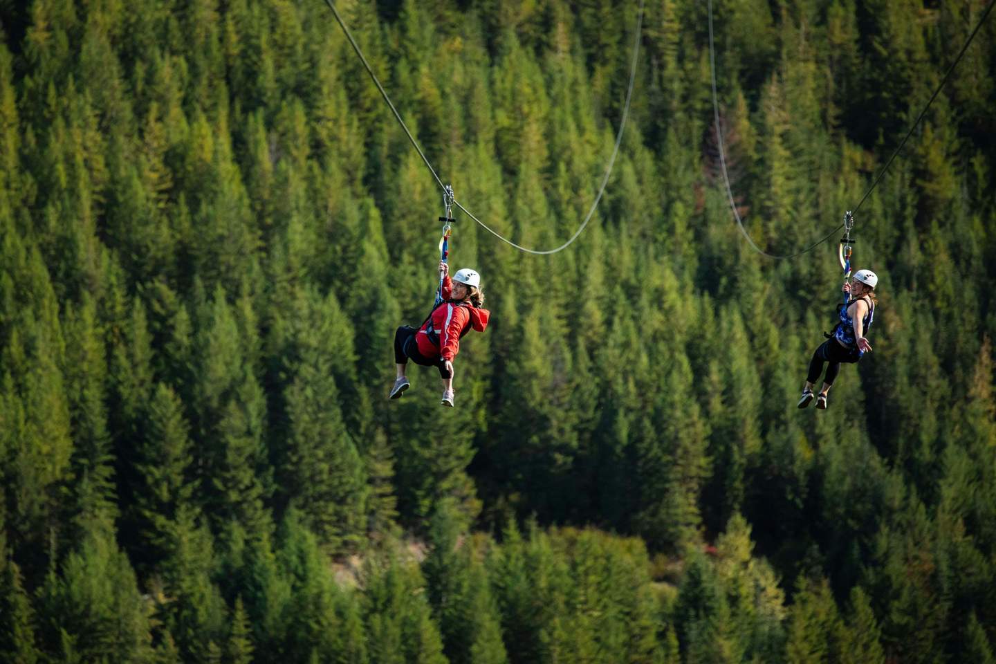 Two people zip-lining above a dense, green forest; both wear helmets and safety gear.