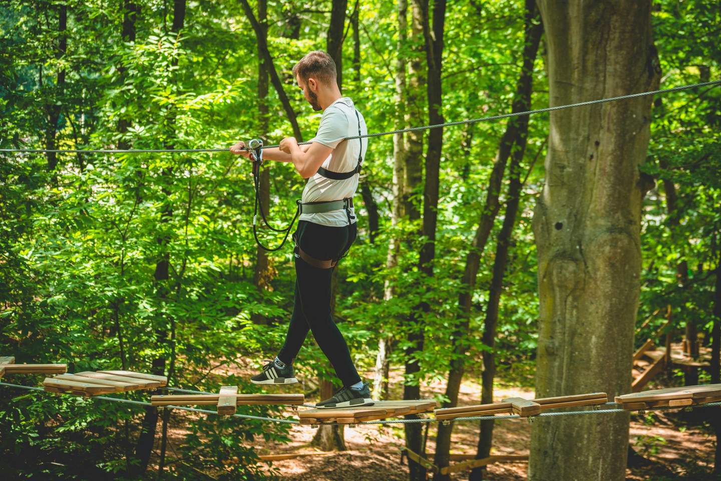 Person wearing a harness walking on a rope bridge in a forest.