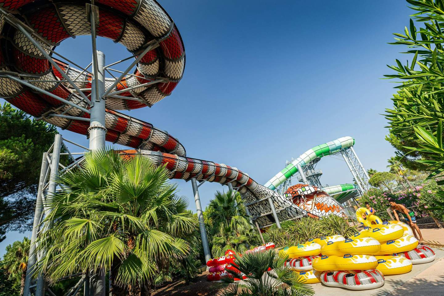 Colorful water slides with decorative snake patterns surrounded by palm trees under a clear blue sky.