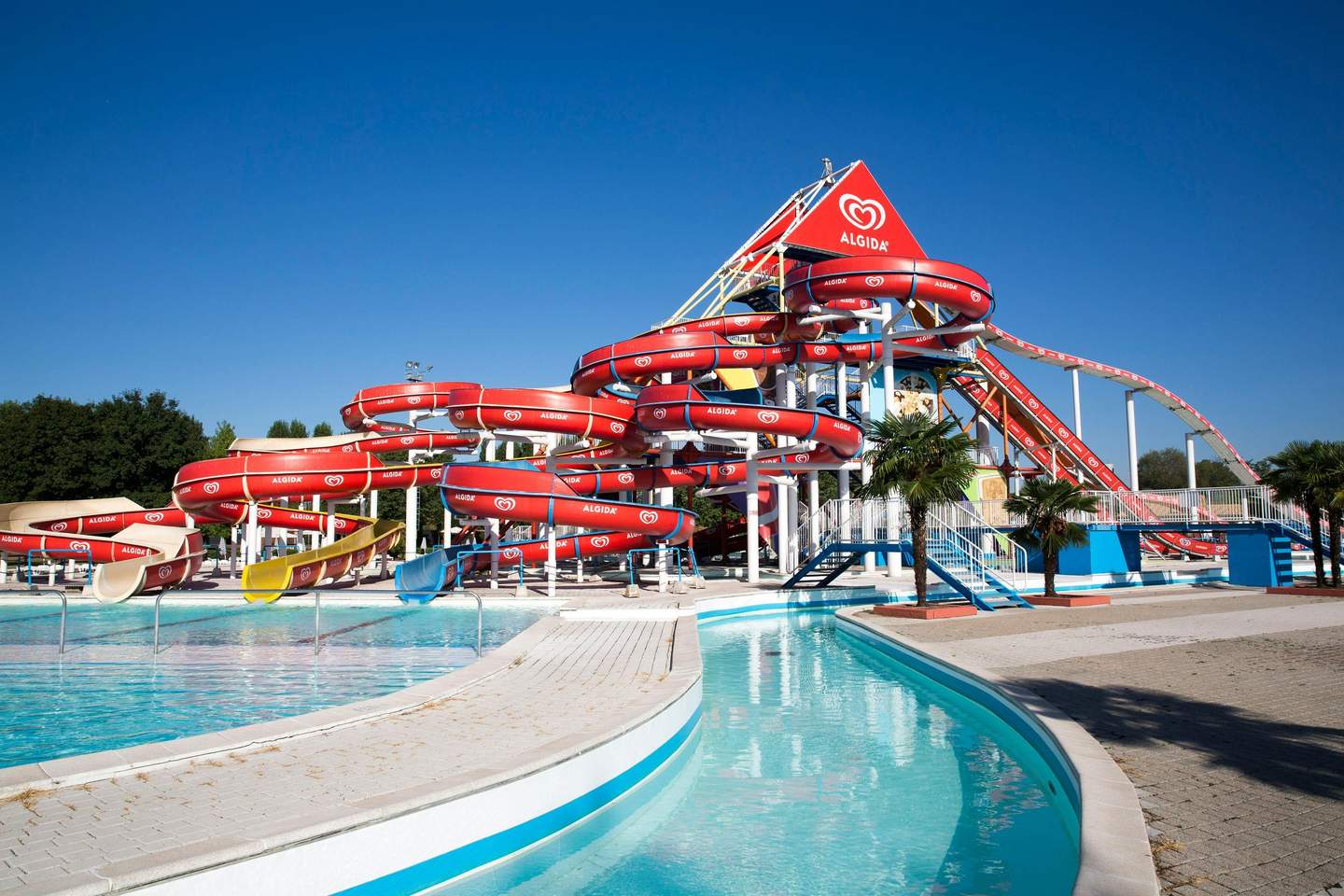 Water park with multiple red, yellow, and blue waterslides, pools, and palm trees, under a clear blue sky.