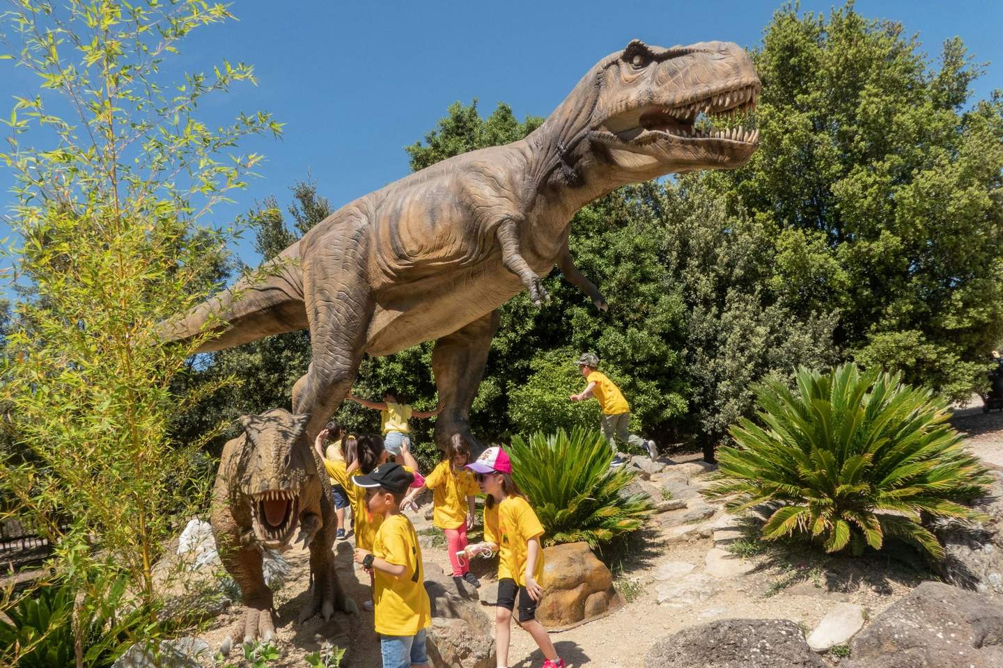 dinosaur