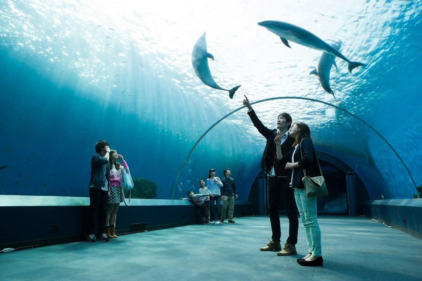 Yokohama Hakkeijima Sea Paradise