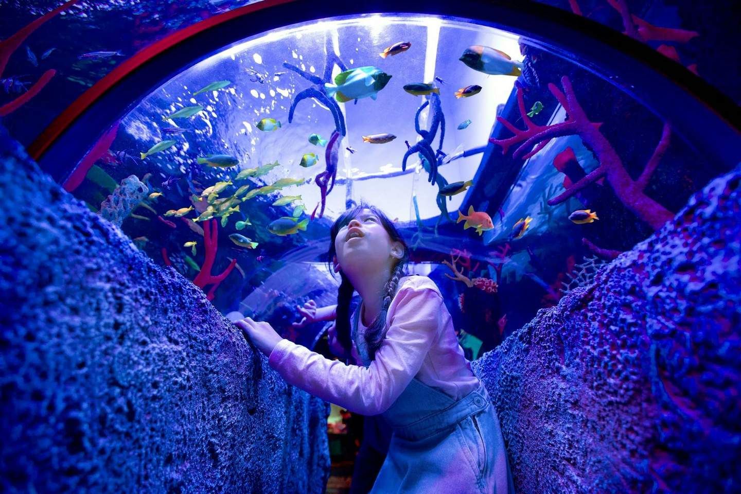 Waterpark LEGOLAND Malaysia A child with braided hair looks up at colorful fish swimming overhead in a tunnel aquarium, surrounded by rocky walls and corals.