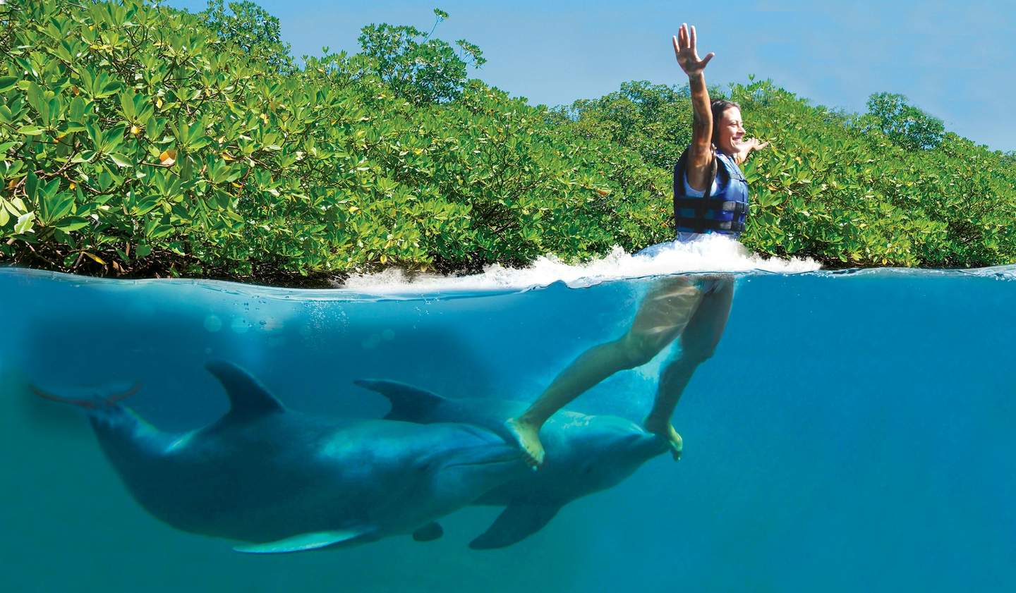 Delphinus Xcaret A person in a life vest stands on two dolphins in clear blue water, with dense green foliage in the background.
