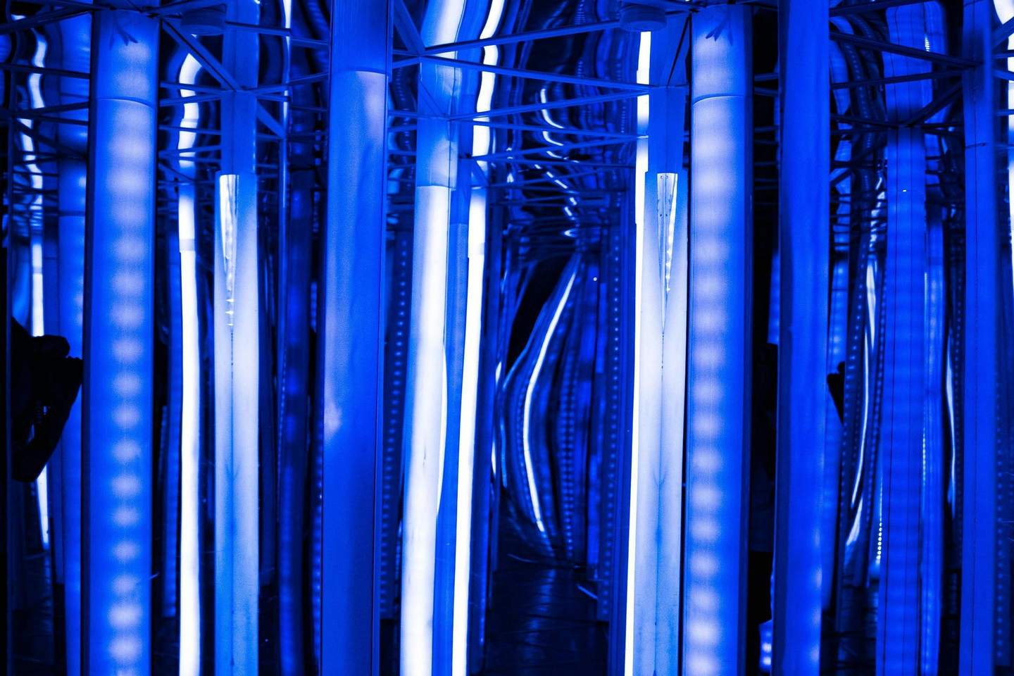 House of Attractions Krakow Mirror Maze