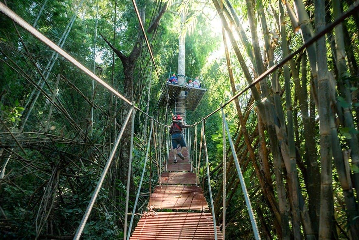 A person crossing a rope bridge in a forest toward a platform with other people, surrounded by dense greenery and sunlight.