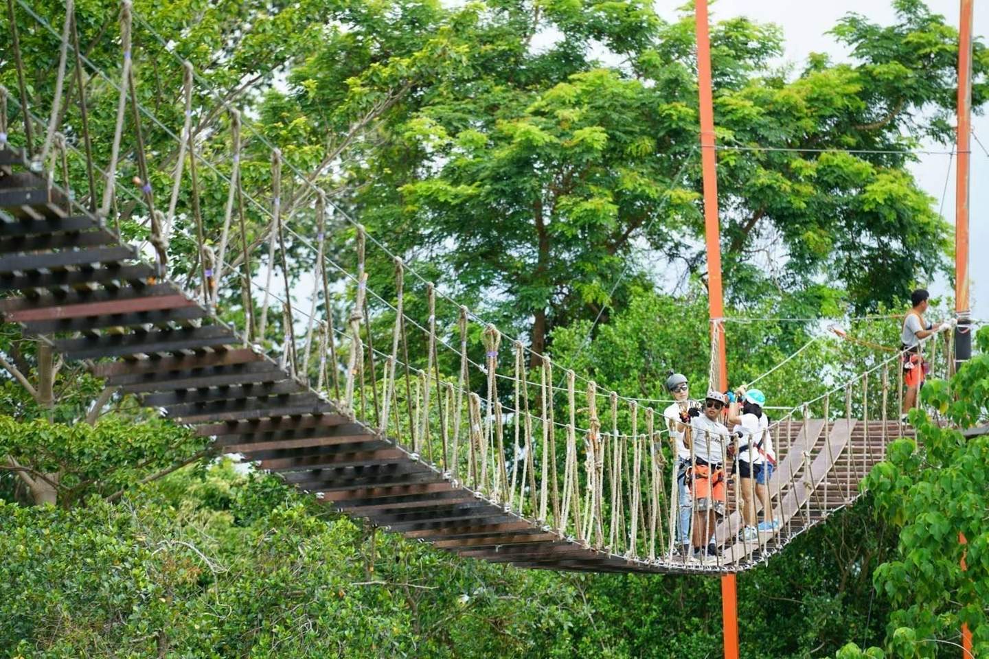 People wearing safety gear stand on a rope bridge suspended in a lush green forest, with one person clipping in at the end.