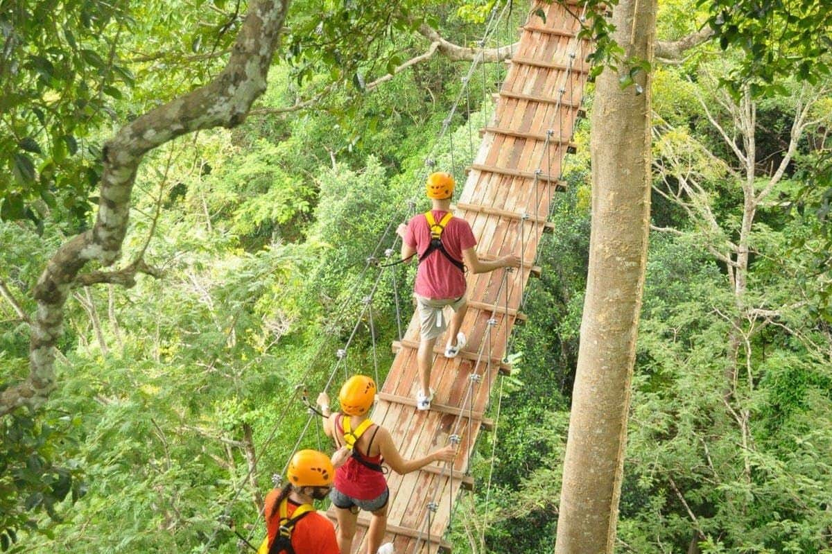 Flying Hanuman Phuket Três pessoas com capacetes e arneses atravessam uma ponte suspensa de madeira no meio de uma densa folhagem verde.