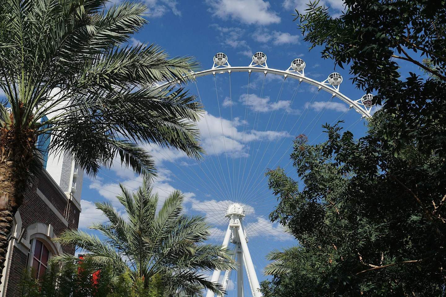 LINQ High Roller A Ferris wheel partially obscured by palm trees, with a clear blue sky and scatter clouds in the background.