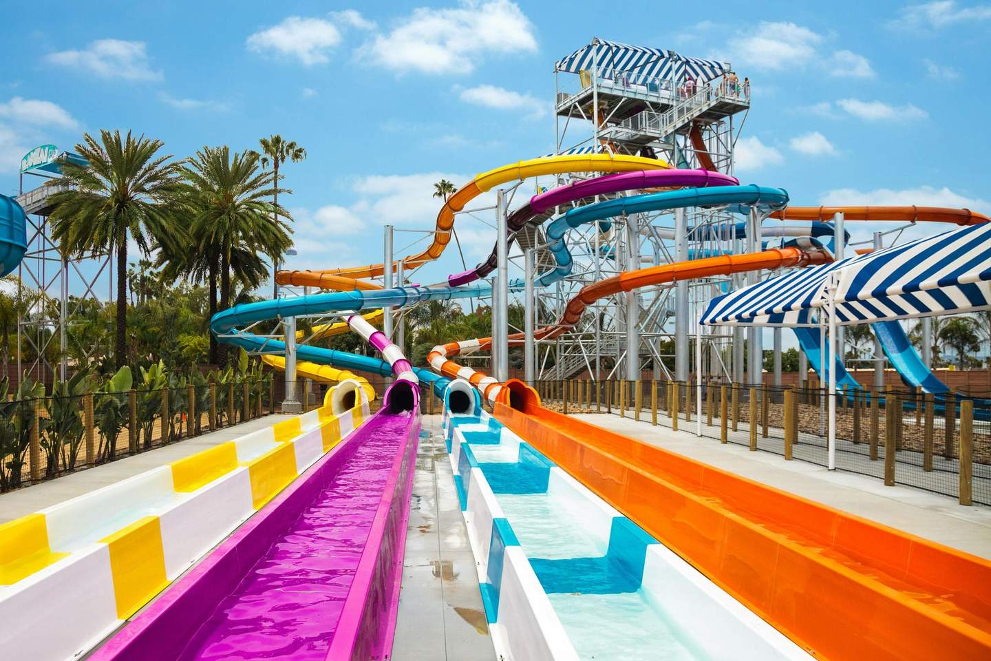 Colorful water slides and a tall structure with people visible under a blue sky, surrounded by palm trees at a water park.