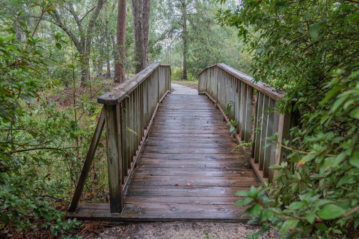 A wooden bridge in a forest leads to a path surrounded by lush green trees and foliage.