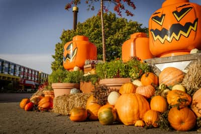 Large carved pumpkins and smaller decorative gourds arranged on hay bales with plants and trees in a festive outdoor setting.