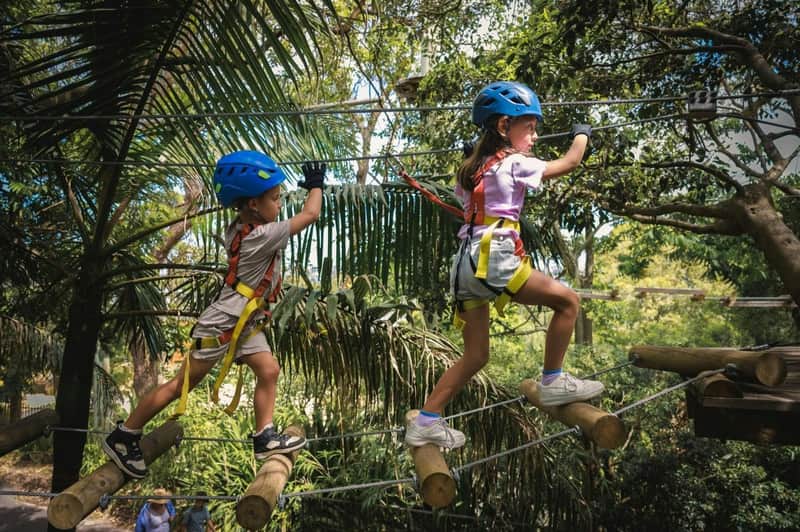 Treetops Adventure Yeodene Park: Junior Ropes Course