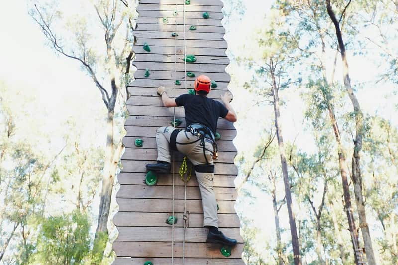 Forest Adventures South West: Entry Ticket
