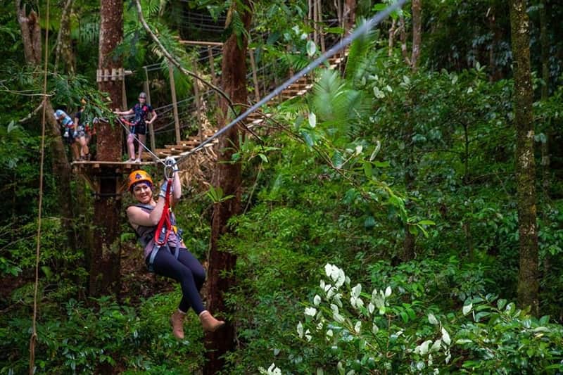 Treetops Adventure - Cape Tribulation