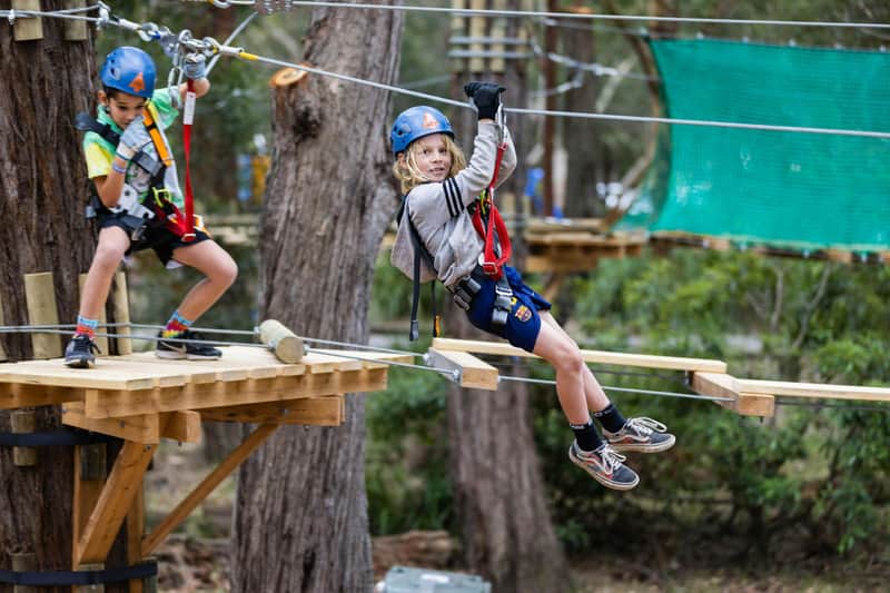 Treetops Adventure Coffs Harbour: Junior Tree Ropes Course