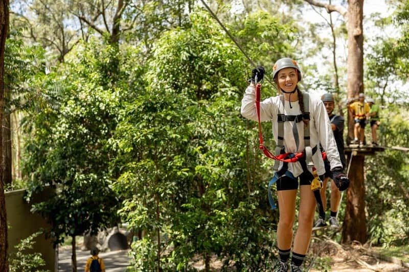 Currumbin Wildlife Sanctuary and TreeTop Challenge: Combo Ticket