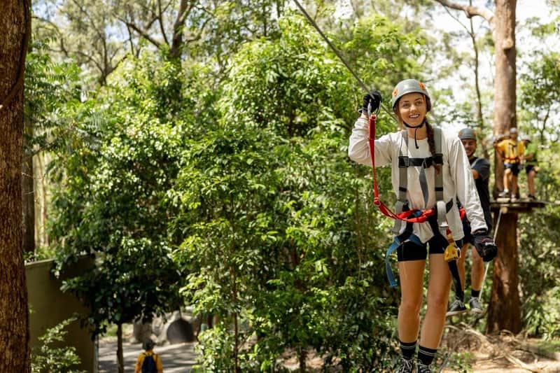 TreeTop Challenge – Currumbin Adventure Park