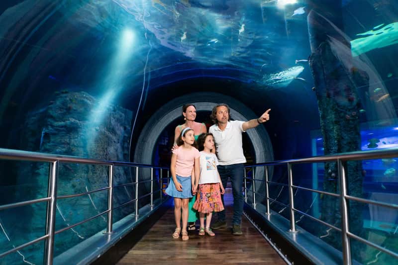 SEA LIFE Melbourne & LEGOLAND® Discovery Centre Combo Ticket