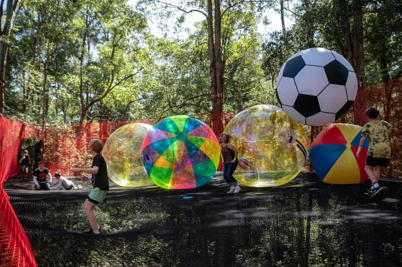Treetops Adventure: Central Coast