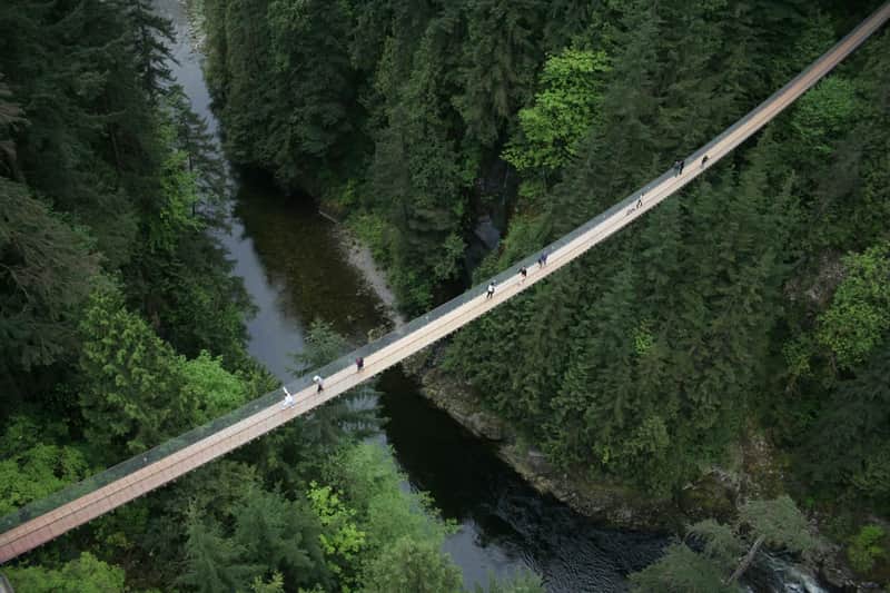 Capilano and City Tour
