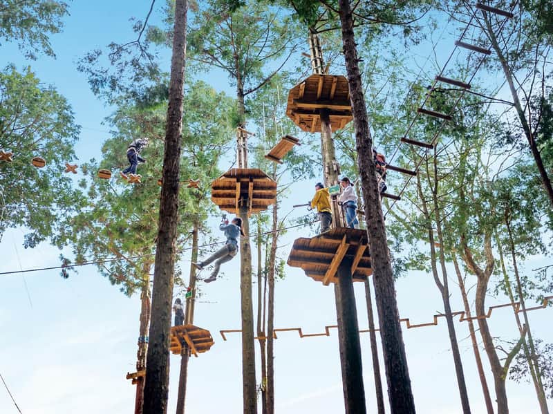 People engaged in a treetop adventure course, navigating platforms, ropes, and zip lines among tall trees under a blue sky.